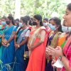 Pongal festival of Alayadivembu Divisional Secretariat-2021